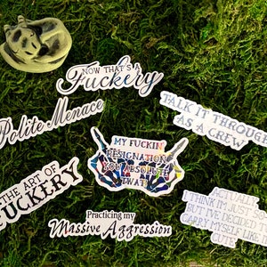 May include: A collection of eight stickers with various humorous phrases and designs. The stickers are printed on white vinyl with black text and feature a variety of colorful designs. The stickers include phrases like "Now that's a fuckery", "Polite Menace", "The art of fuckery", "My fuckin' resignation. You absolute twat!" and "Talk it through as a crew".