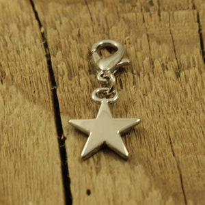 Star zipper charm, star clip, zipper charm, silver star zip charm, star zip charm. star charm, star fan, star gift, zip charm, star zip pull