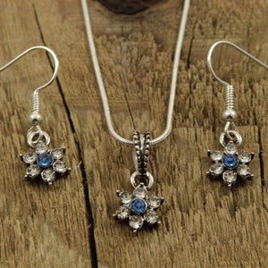 May include: A silver necklace and earrings set with a blue rhinestone flower pendant and matching earrings.