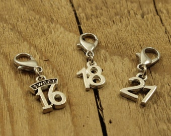 Number zipper charm, 18, sweet 16, 21, 18 zipper charm, 21 zipper charm, 16 zipper charm, number clip, 18 zip charm, 21 zip charm, 16 charm