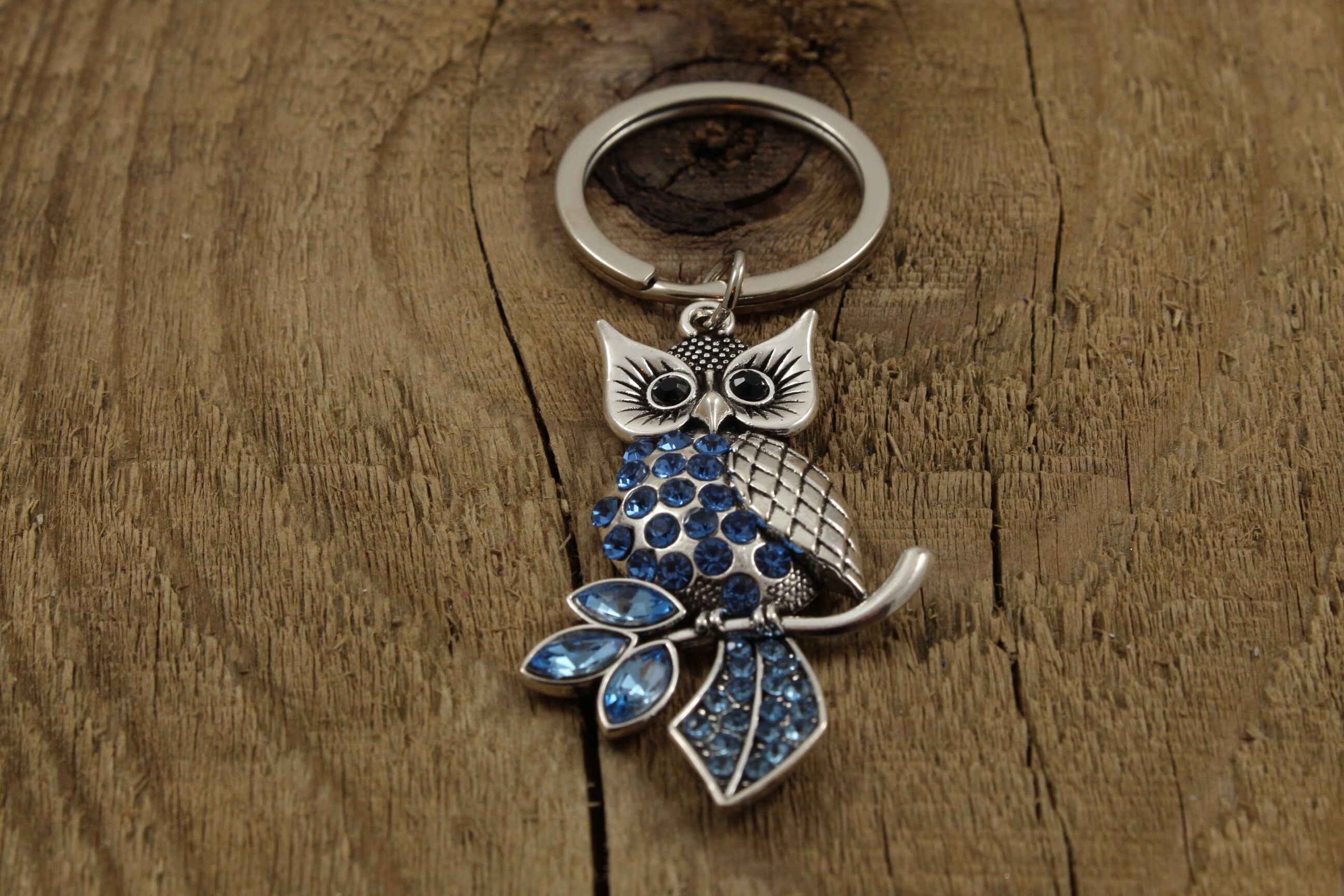 Owl Keyring Owl Keychain Blue Owl Keyring Owl Teacher Gift Etsy UK
