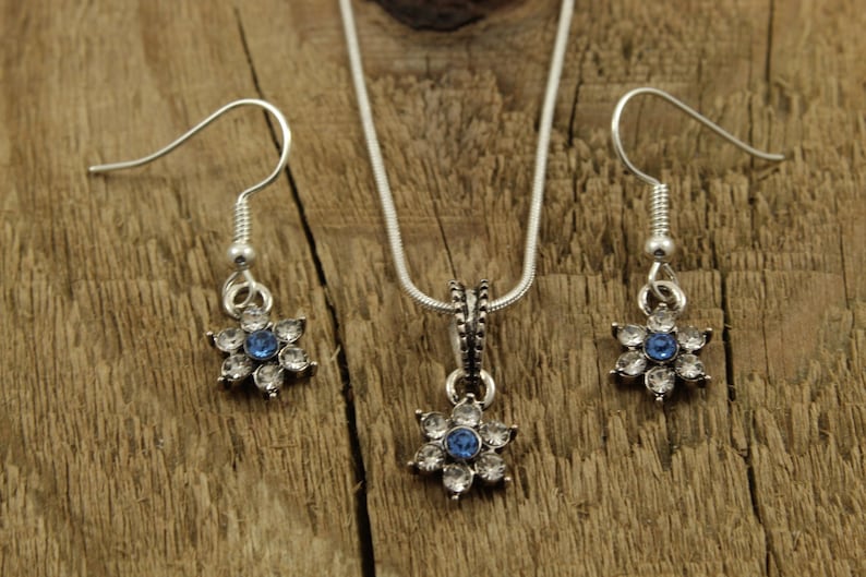 May include: A silver necklace and earrings set with a blue rhinestone flower pendant and matching earrings.