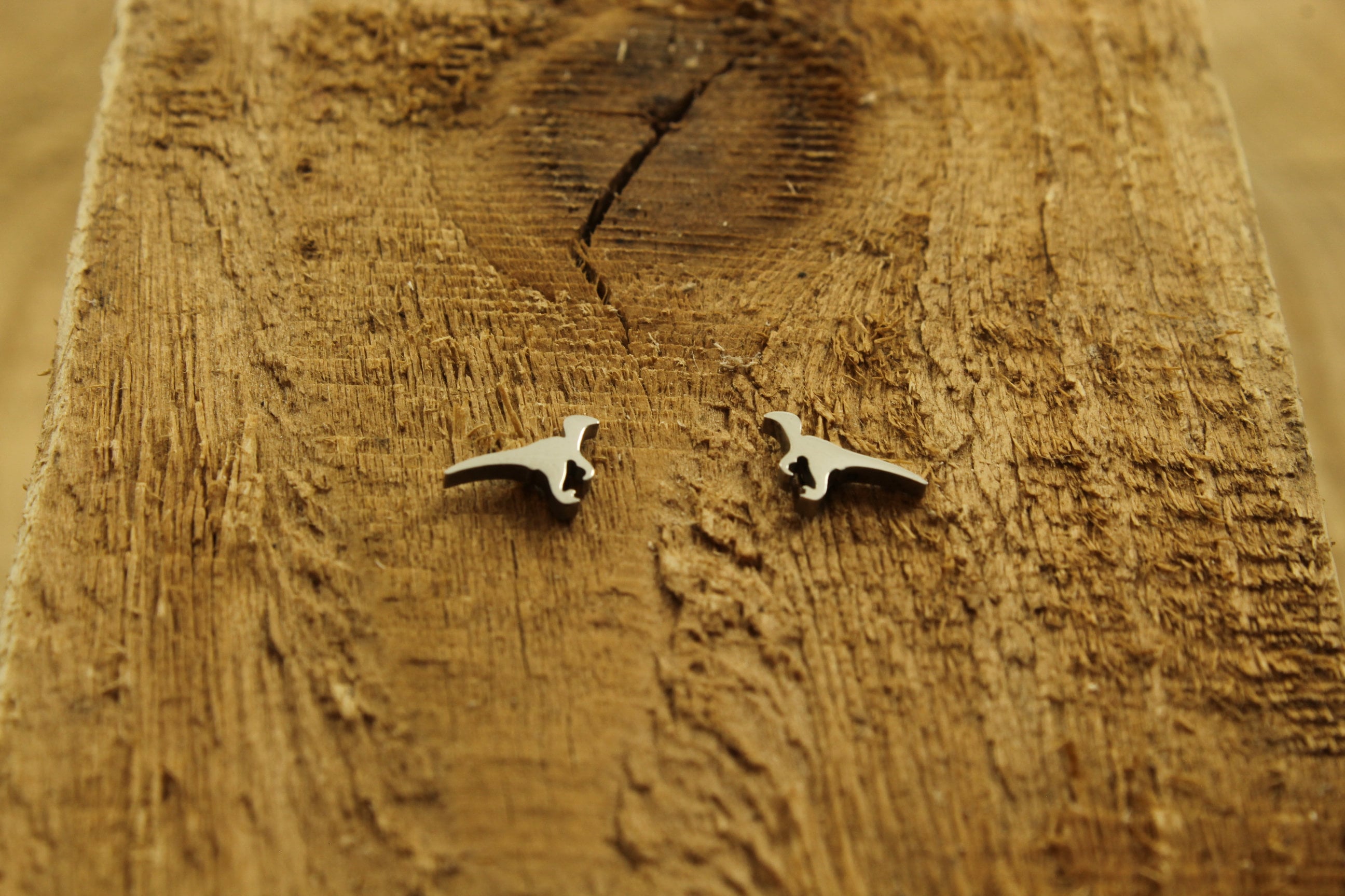 Orecchini a borchie in argento sterling – Drago gallese