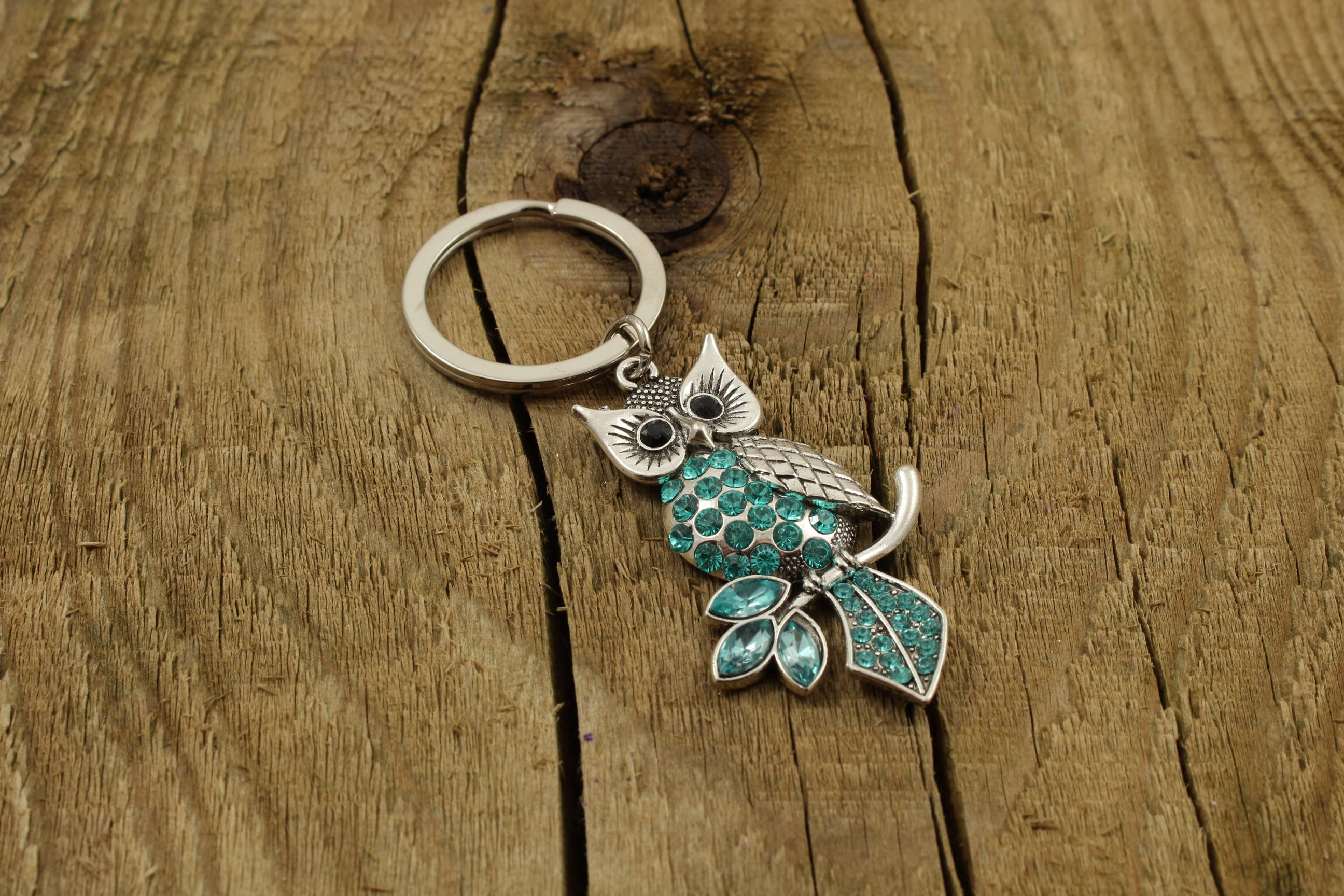 Owl Keyring Owl Keychain Blue Owl Keyring Owl Teacher Gift Etsy UK