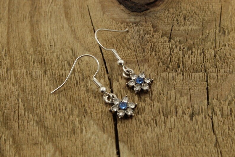 May include: A pair of silver dangle earrings with a blue rhinestone center and clear rhinestones surrounding it. The earrings are on a wooden surface.