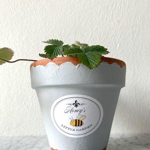 Labels for the Pot Sortiment Etiketten für Blumentöpfe Blumentopfetikett pimp up the pot Instant Download