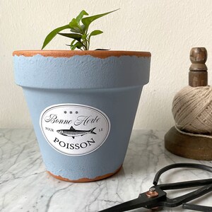 Könnte beinhalten: Ein hellblauer Terrakotta-Topf mit einem weißen Etikett, auf dem "Bonne Herbe Pour Le Poisson" und eine kleine Fischillustration zu sehen sind. Der Topf ist mit einer kleinen grünen Pflanze gefüllt und steht auf einer weißen Marmorfläche.
