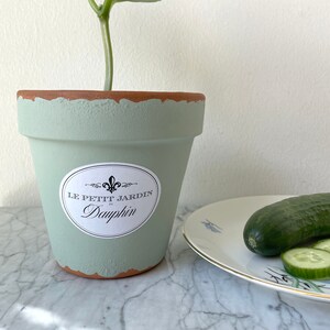 Könnte beinhalten: Ein grüner Terrakotta-Topf mit einem weißen Etikett, auf dem "LE PETIT JARDIN Dauphin" steht, und einer kleinen grünen Pflanze, die aus ihm herauswächst. Neben dem Topf steht auf dem Tisch ein Teller mit einer Gurke und Gurkenscheiben.