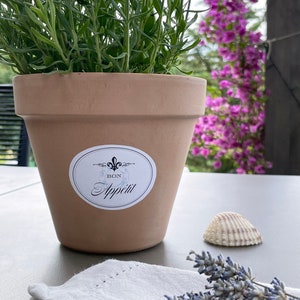 Könnte beinhalten: Ein Terrakotta-Topf mit einer Lavendelpflanze darin. Der Topf hat einen weißen Aufkleber mit dem Text "Bon Appetit" in schwarzer Kursivschrift. Der Topf steht auf einem Tisch mit einer weißen Serviette und einer Muschel.