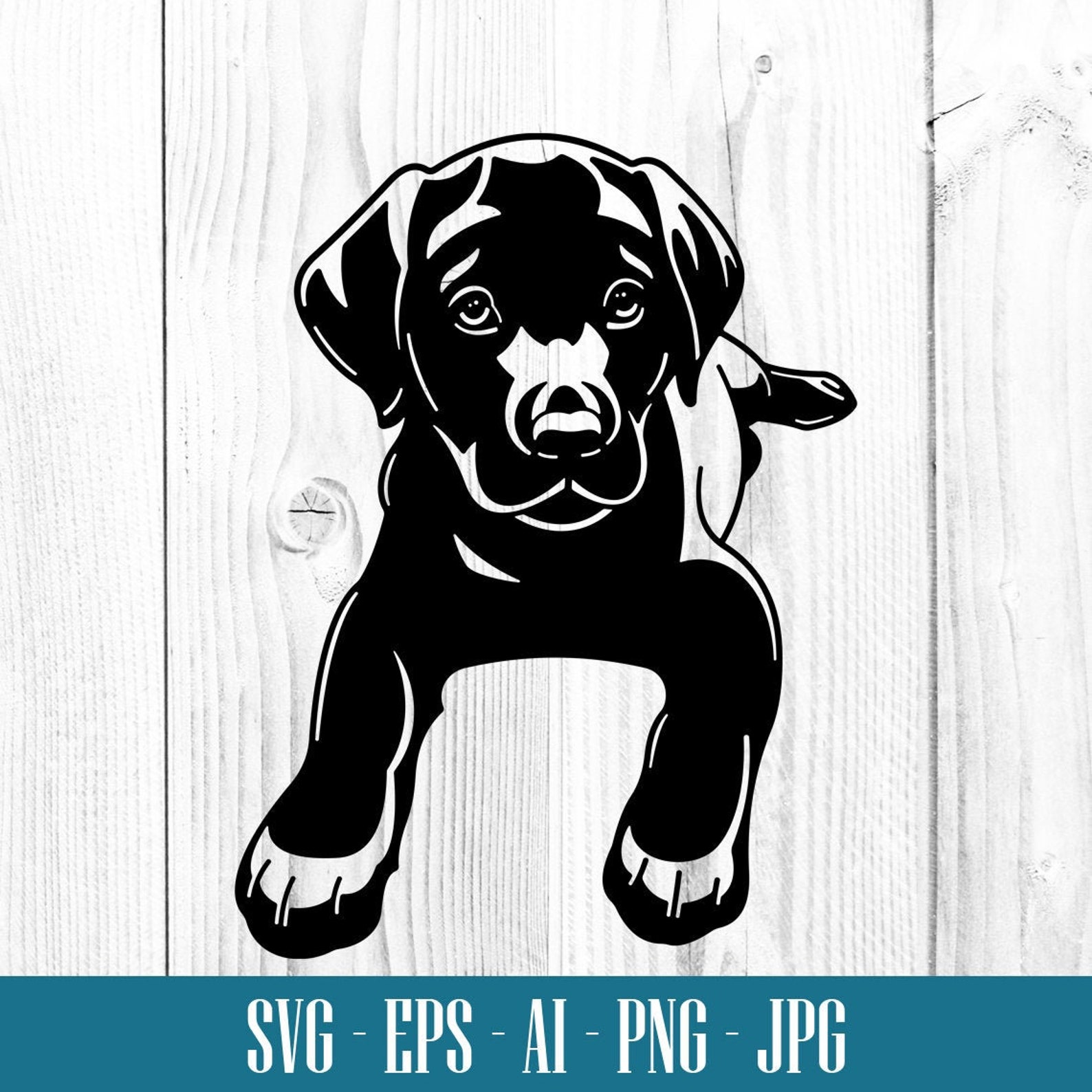 Chocolate Labrador puppy SVG Dog Digital Clip Art Dog svg | Etsy