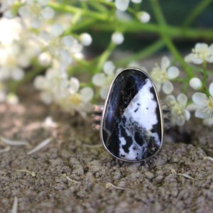 Anillo de plata de ley con diseño de búfalo blanco, talla 7 1/2