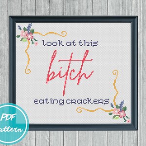 Look At This Bitch Eating Crackers Cross Stitch PDF Pattern | Instant Digital Download