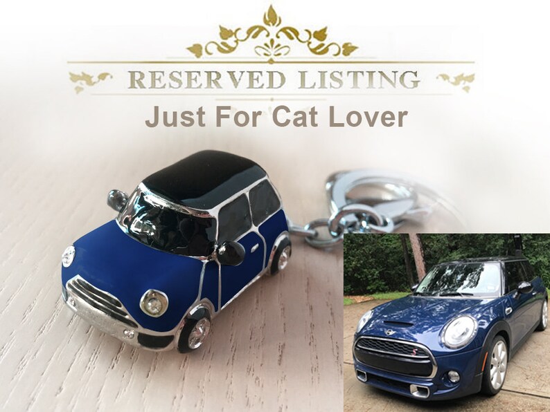Customized Cat Lover S Mini Car Black Roof And The Customized Cat Lover S Mini Car Black
