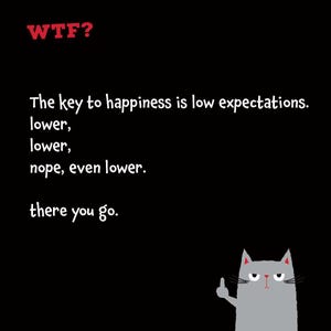 Puede incluir: Un estampado gr&aacute;fico negro con el texto rojo WTF? en la parte superior, seguido de texto blanco: The key to happiness is low expectations. lower, lower, nope, even lower. there you go. Una ilustraci&oacute;n de un gato gris est&aacute; abajo a la derecha.