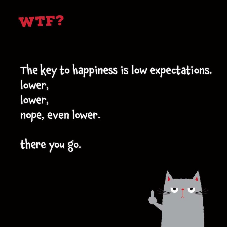 Puede incluir: Un estampado gr&aacute;fico negro con el texto rojo WTF? en la parte superior, seguido de texto blanco: The key to happiness is low expectations. lower, lower, nope, even lower. there you go. Una ilustraci&oacute;n de un gato gris est&aacute; abajo a la derecha.