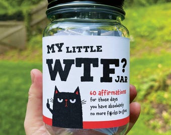 Funny WTF Affirmation and Quote Jar Gift Idea Sarcastic Self-Care Cards for Motivation and Stress Relief Gift for Birthday or Any Occasion