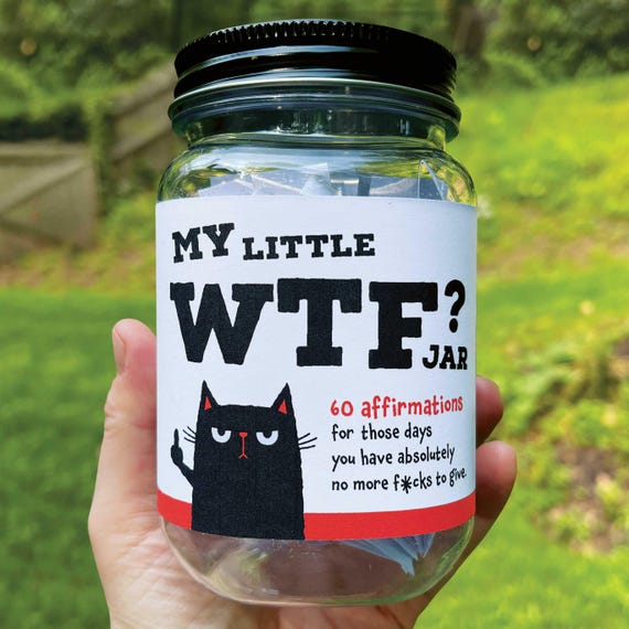 Funny WTF Affirmation and Quote Jar Gift Idea Sarcastic Self-Care Cards for Motivation and Stress Relief Gift for Birthday or Any Occasion