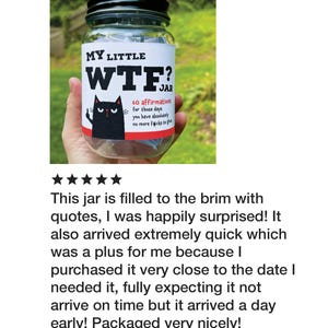 Puede incluir: Un frasco de vidrio transparente con tapa negra de rosca y etiqueta blanca. La etiqueta muestra el texto MY LITTLE WTF? JAR y 60 affirmations for those days you have absolutely no more f*cks to give, junto a una ilustraci&oacute;n de un gato negro.