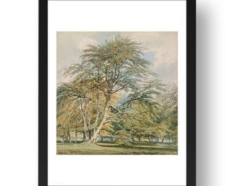 Beech-Trees-at-Norbury-Park,-Surrey,-1797 by John Mallord William Turner, RA,  English landscape,  framed repro