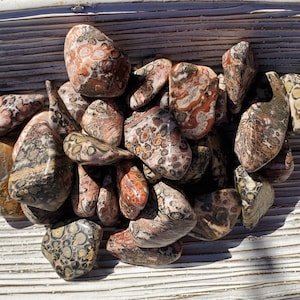 Leopardskin Jasper Stone for Connection to Higher Self, Animal Totem Connection Stone, Shamanic Journey Stone, Success and Career Stone