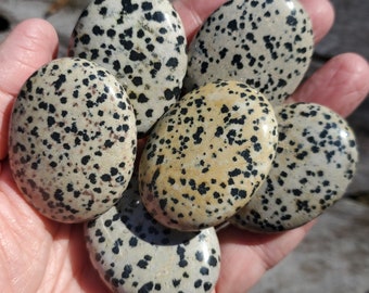 Dalmatian Jasper Palm Stone, Yin and Yang Balancing, Natural Stress Relief Crystal, Meditation & Healing, Pocket Gemstone for Calm and Focus