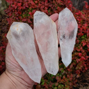 May include: Three clear quartz crystal points, also known as rock crystals, with a natural, raw, and unpolished finish. The crystals are long and slender, with a pointed tip and a flat base. They are arranged in a hand, with the points facing upwards.