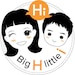 Big H little i