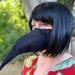 magicknox reviewed Covid 19 Plague Doctor Mask