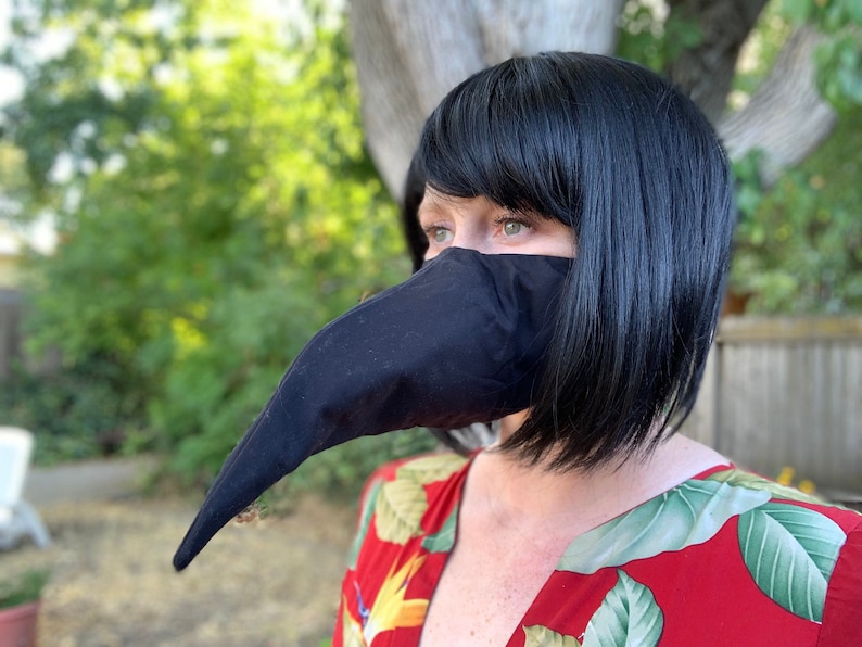 Covid 19 Plague Doctor Mask image 1