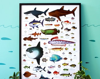 All The Fish in Animal Crossing Print