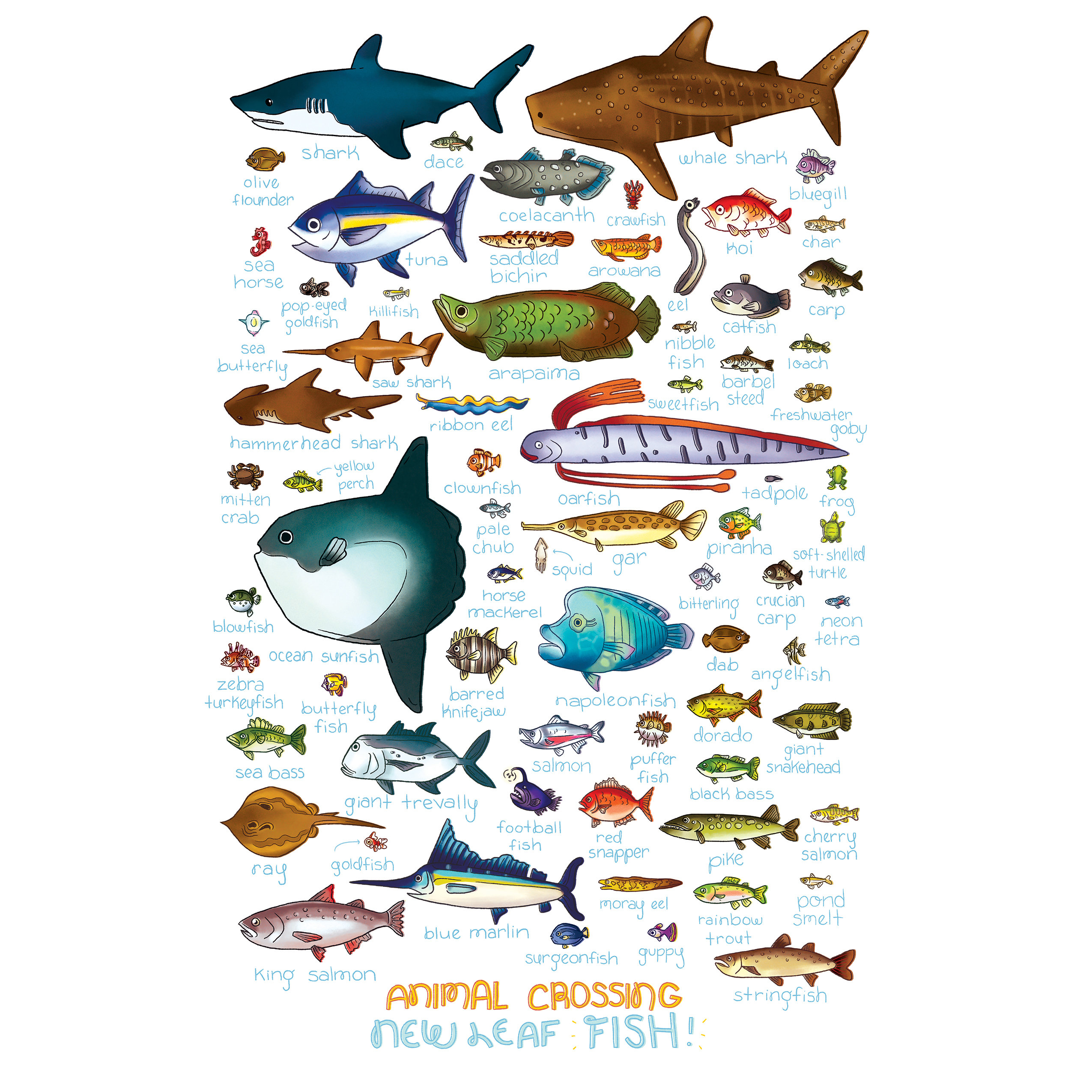 All The Fish in Animal Crossing Print