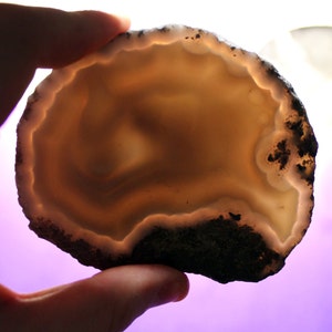May include: A close-up of a light brown agate geode with a white interior and dark brown edges. The geode is being held in a hand.