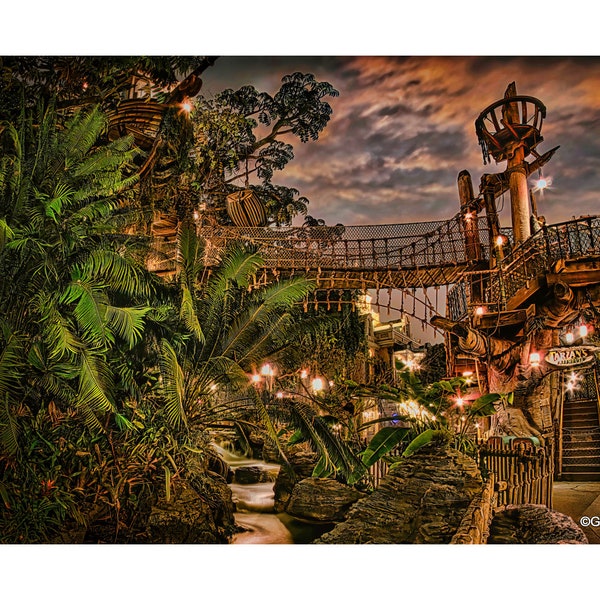 Disneyland's Tarzan's Treehouse #201, BUY 2 GET 1 -8x12 print free!! Fuji Pearl Paper  / Metal Print