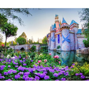 Disneyland Sleeping Beauty Castle 60th #103, BUY 2 GET 1 -8x12 print free!! Fuji Pearl Paper  / Metal Print