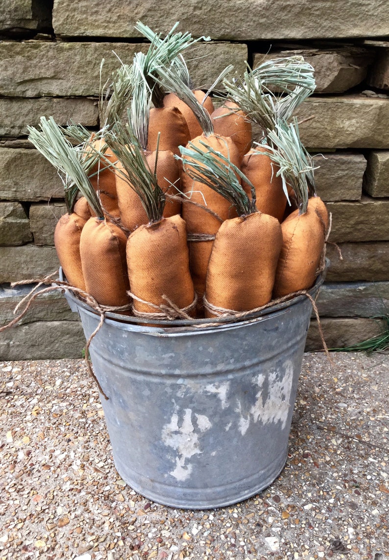 Zanahoria primitiva zanahoria de Pascua zanahoria antigua | Etsy