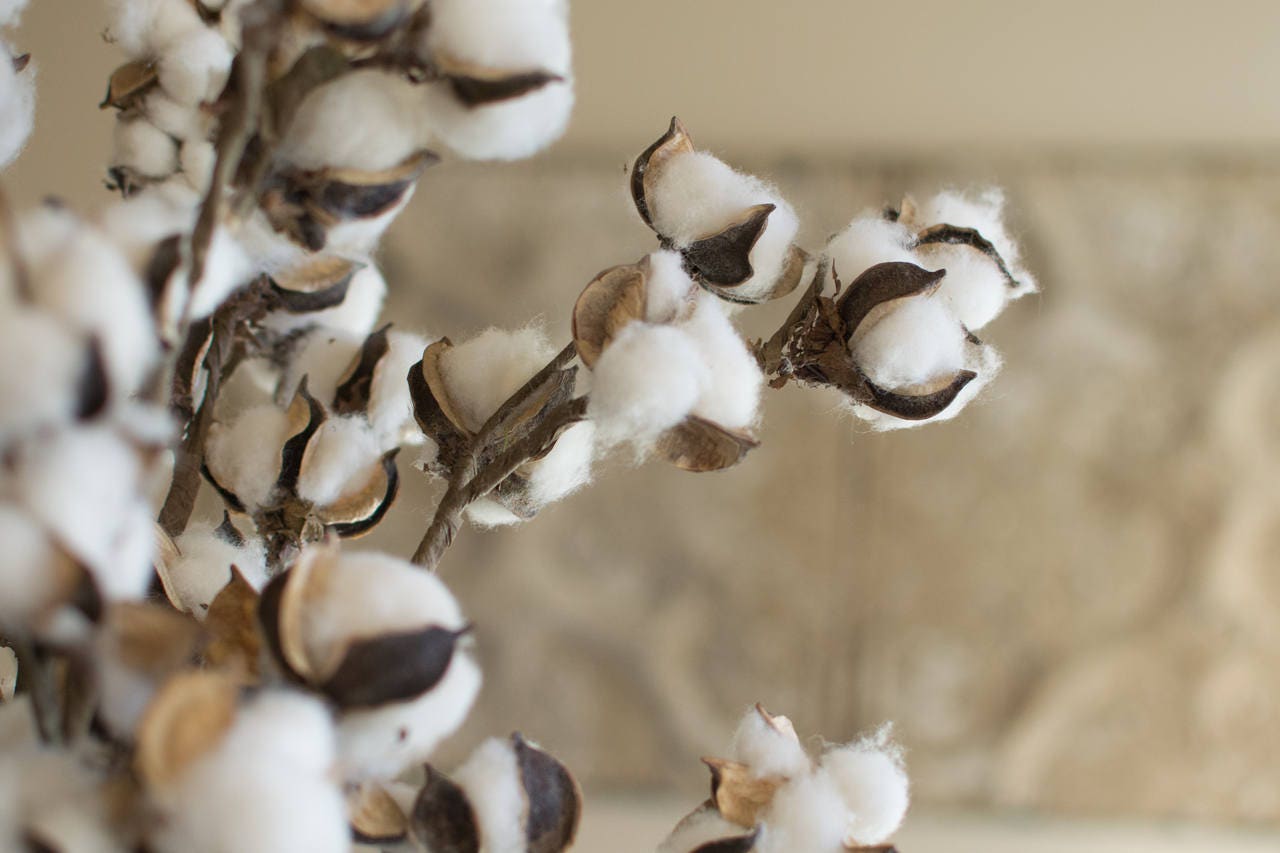 Cotton Spray Faux Cotton Spray Cotton Decor Farmhouse Etsy