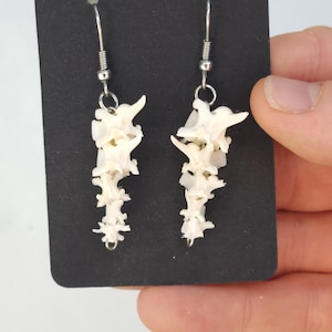 May include: A pair of drop earrings featuring stacked, off-white, organic bone-like vertebrae segments suspended from silver-toned metal fishhook wires. The earrings are displayed on a rectangular black card, showcasing a textured, natural structure.