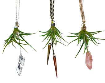 Living Air Plant Necklace with Charms, Gemstones, Crystals, or Beads- Custom Made Green Jewelry