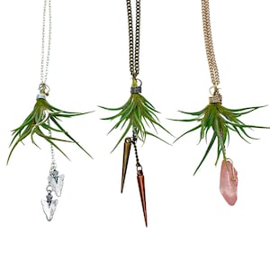 Living Air Plant Necklace with Charms, Gemstones, Crystals, or Beads- Custom Made Green Jewelry