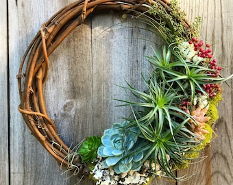 Living Succulent Air Plant Grapevine Wreath - 12 inch