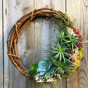 Living Succulent Air Plant Grapevine Wreath - 12 inch