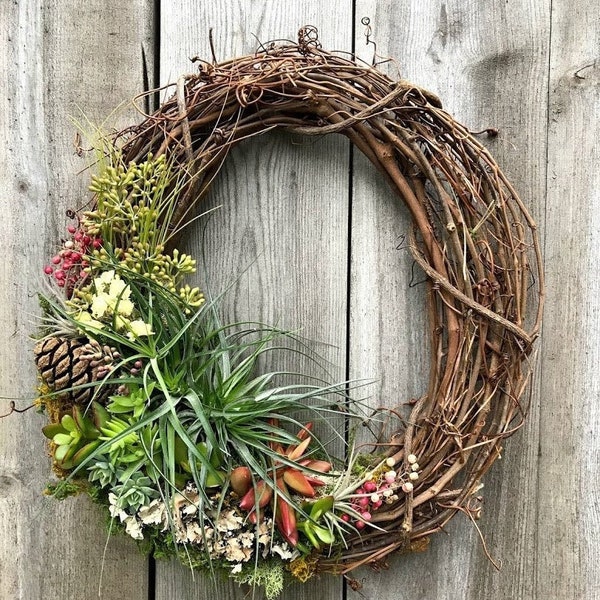 Living Succulent Air Plant Indoor/Outdoor Grapevine Wreath - 14 inch