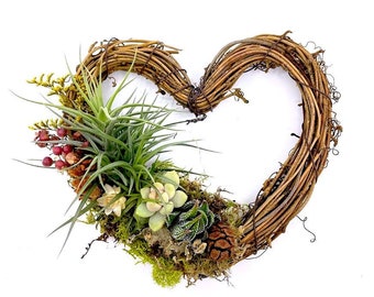 Living Heart Wreath 6 inch - Succulents / Air Plants / Dried Flowers