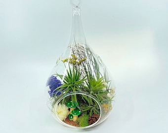 Hanging Glass Tear Drop Terrarium - Air Plants / Moss / Sand / Dried Flowers