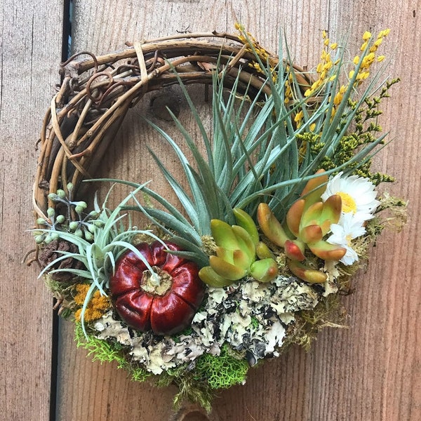 Fall Harvest Living Wreath - 6 inch -  Succulents, Air Plants, & Dried Flowers