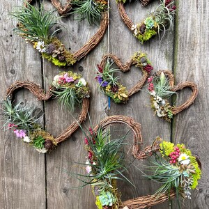 May include: Five heart-shaped wreaths made of twigs, each decorated with air plants, moss, and small flowers. The wreaths are arranged on a wooden background.