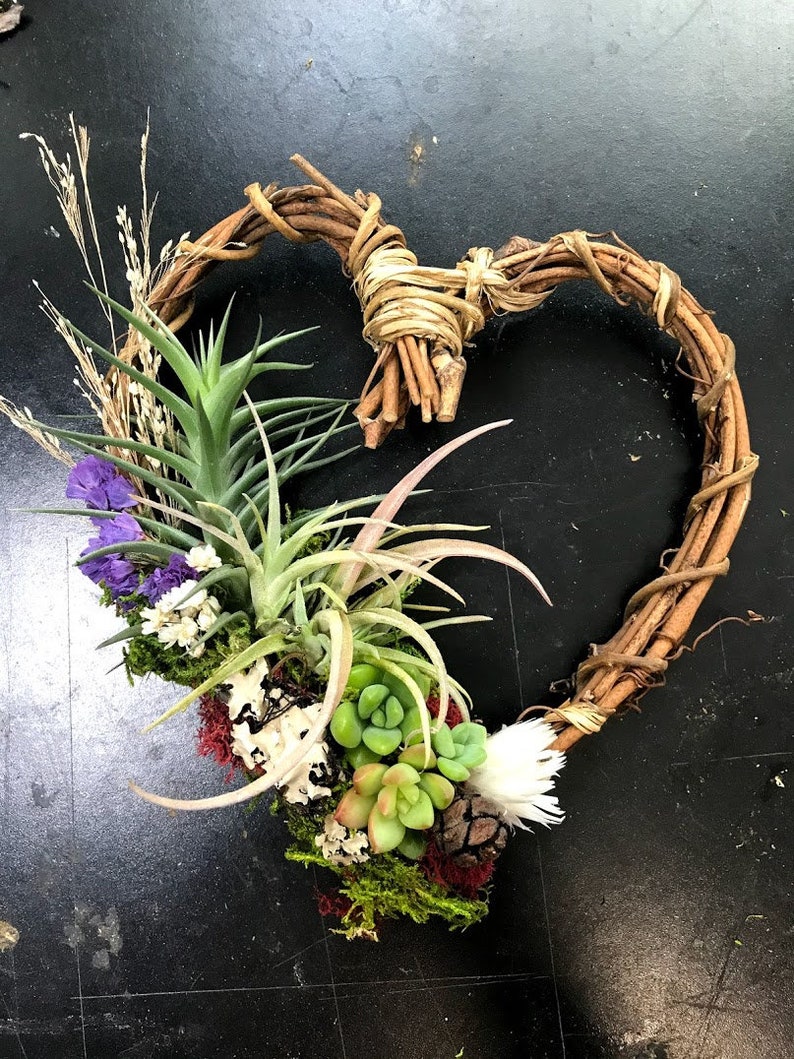 May include: A heart-shaped wreath made of brown twigs with a variety of green succulents, air plants, and dried flowers arranged inside.