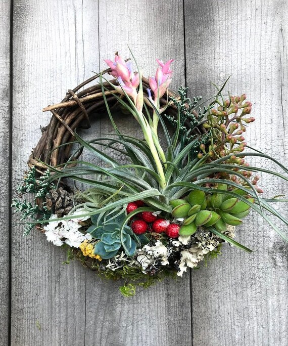 anthurium plant white Anthurium White | Care Guide and Pro Tips - Delivery from Toronto across  Canada