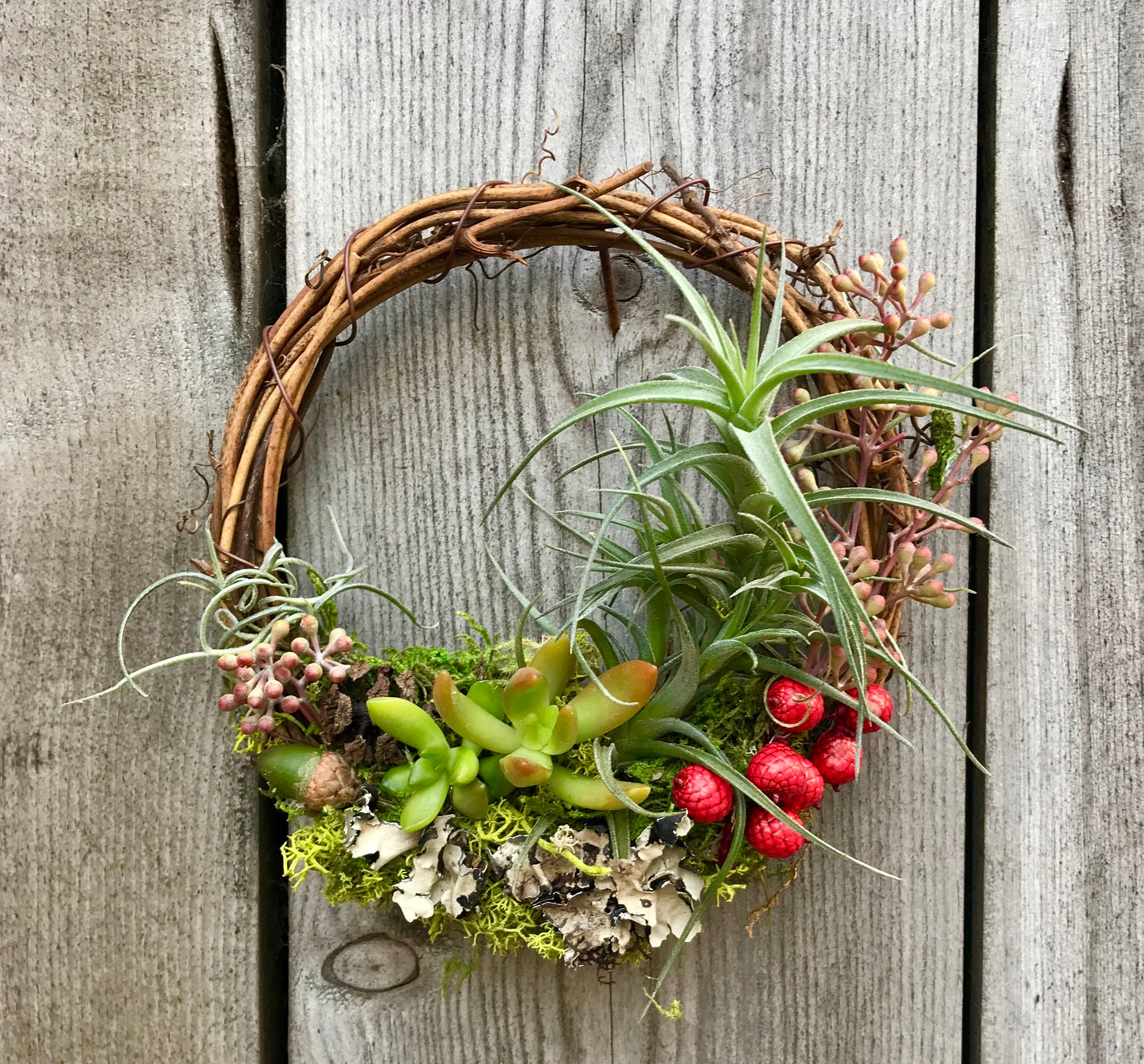 Christmas Holiday Living Wreath Air Plants / Succulents / Etsy