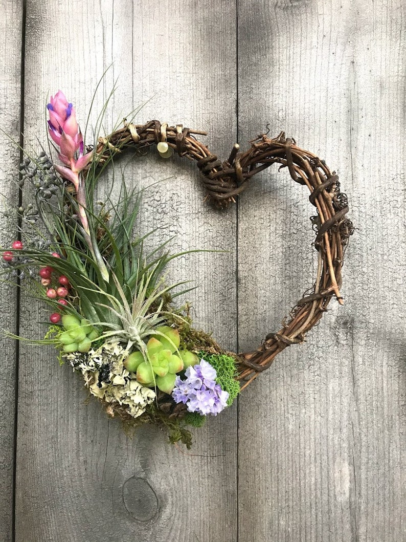 May include: A heart-shaped wreath made of brown twigs is decorated with a variety of green succulents, purple flowers, and pink and green air plants.